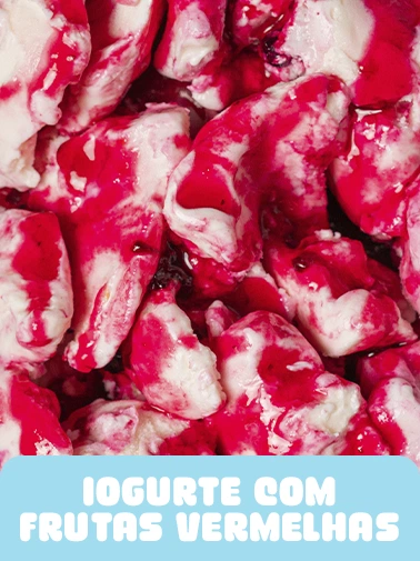 IOGURTE COM FRUTAS VERMELHAS