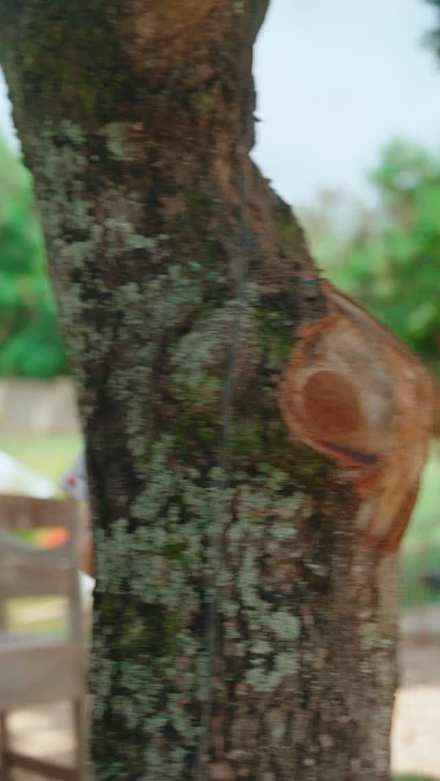 Instagram post from berrysbrasil. This post is in position 6.